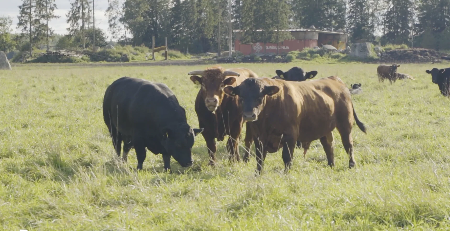 Skärmbild 2026 04 01